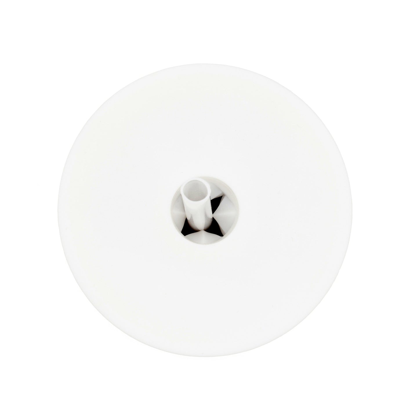 Winter White