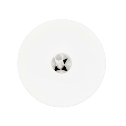 Winter White